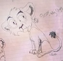 Scar Drawing
