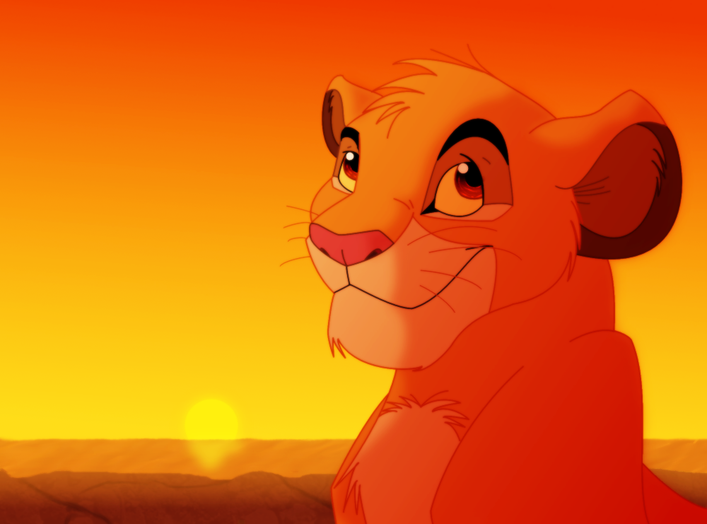 Everything The Light Touches