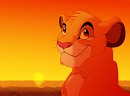 Everything The Light Touches
