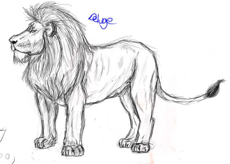 Realistic Lion