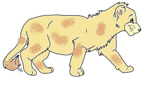 Savannah as a Cub