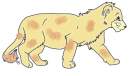 Savannah as a Cub