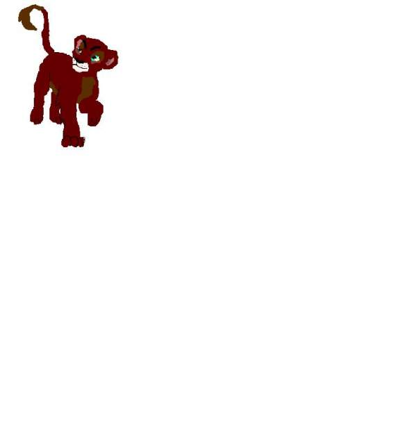 shinda cub