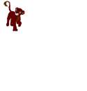 shinda cub