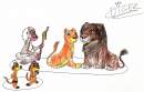 le roi lion 2 & 3
