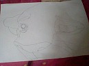 Mon 1er dessin de Simba