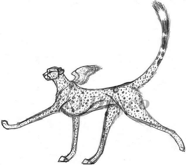 'Notha Cheetah Sketch