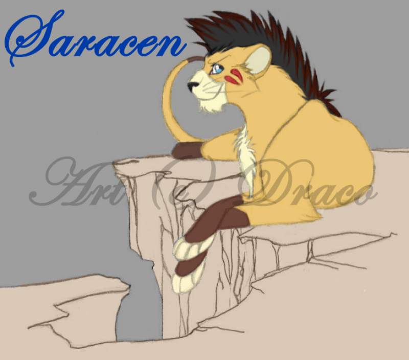 Saracen