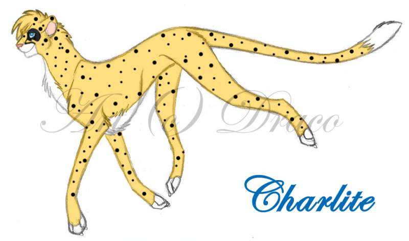 Charlite