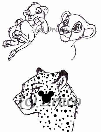 More sketches