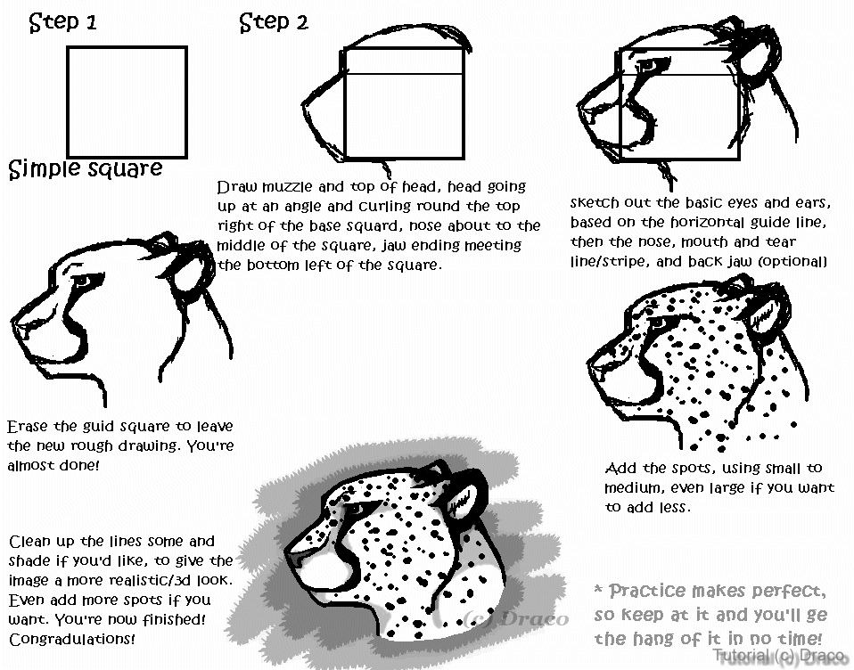 Cheetah Head Tutorial