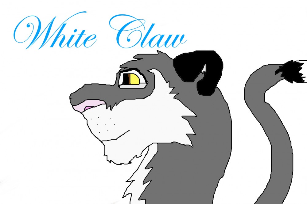 I've improved. 