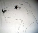 Nala