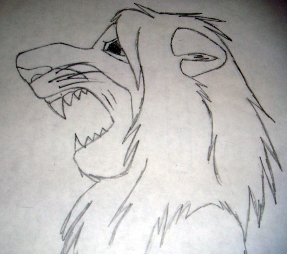 Part one of my drawing of Simba