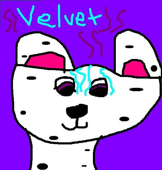 Velvet