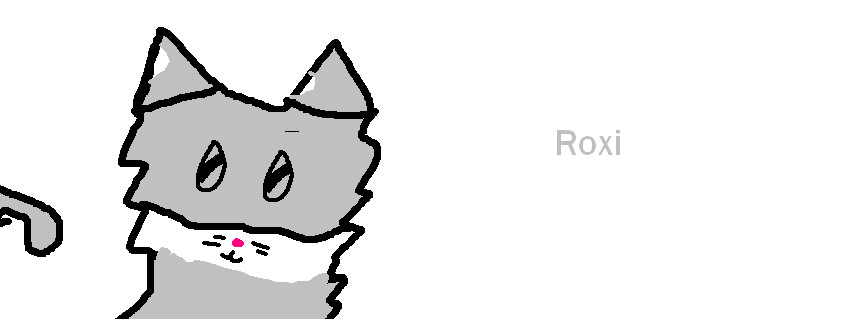 Roxi the cat(trying to adopted)