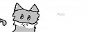 Roxi the cat(trying to adopted)