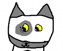 Random kitty! 