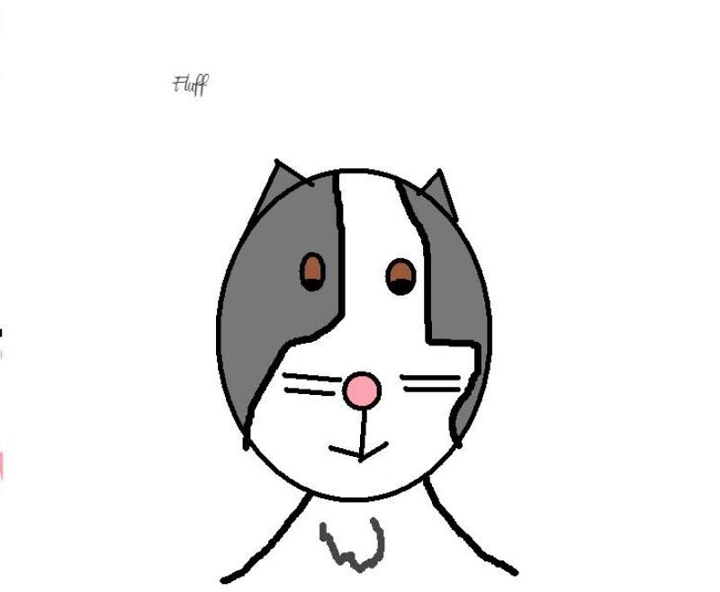 Fluff