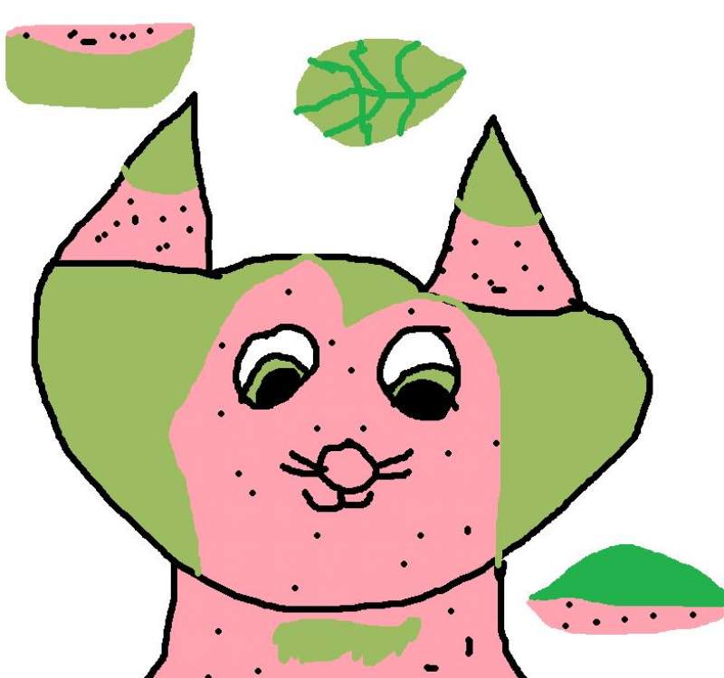 watermelon