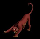 kovu