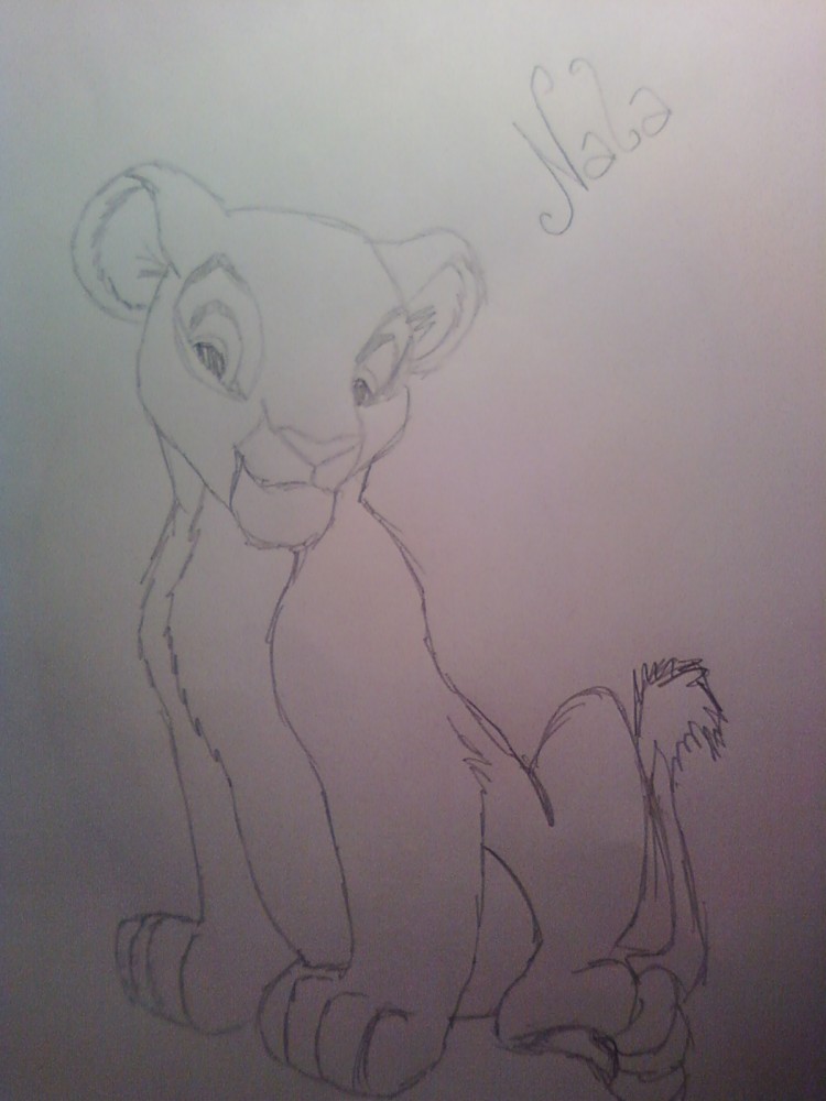 Nala's Youth