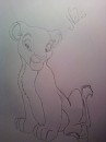 Nala's Youth