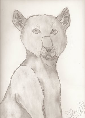 Panther