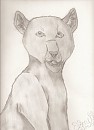 Panther