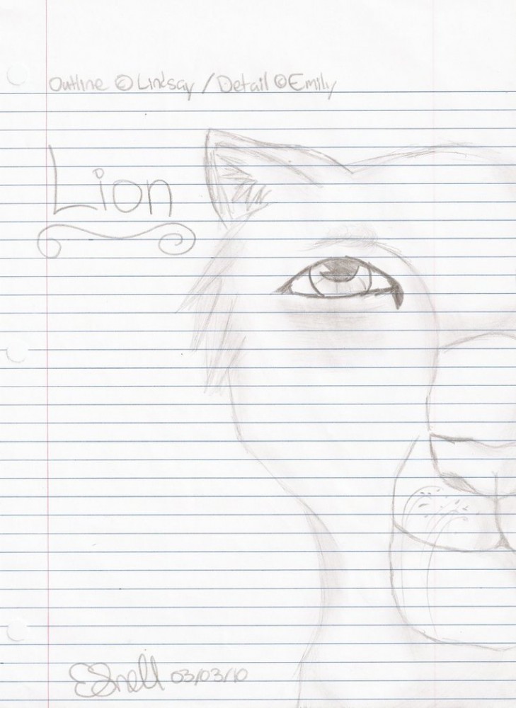 Lioness Half-Portrait