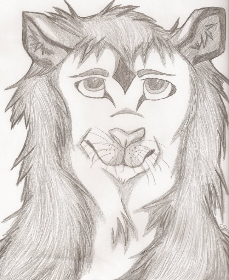 Lion Sketch