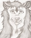 Lion Sketch