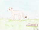 Sarafina