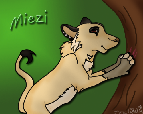 Sketch Trade - Miezi