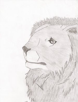 Rawr