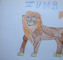 zuma