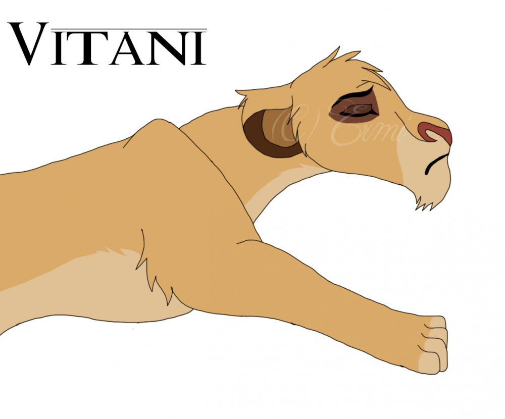 Vitani