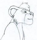 Tête Kovu; Version n°1