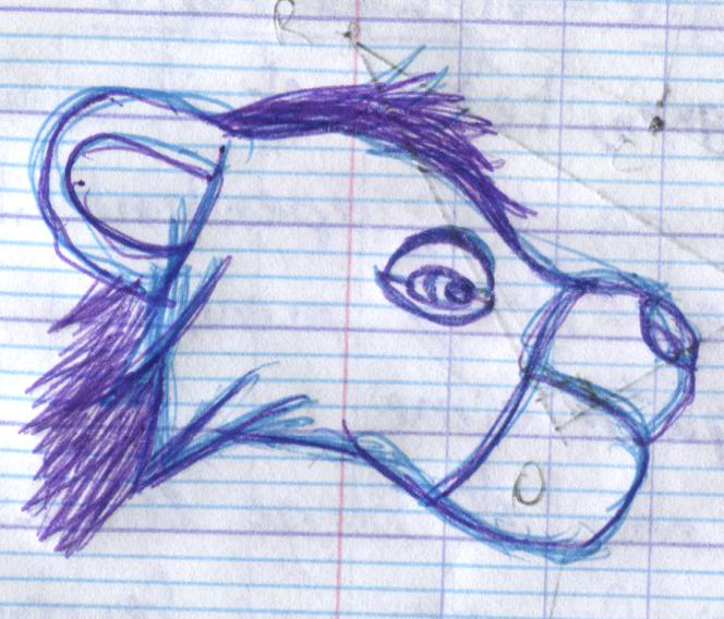 Tête Simba