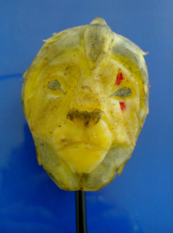 Patata-Scar