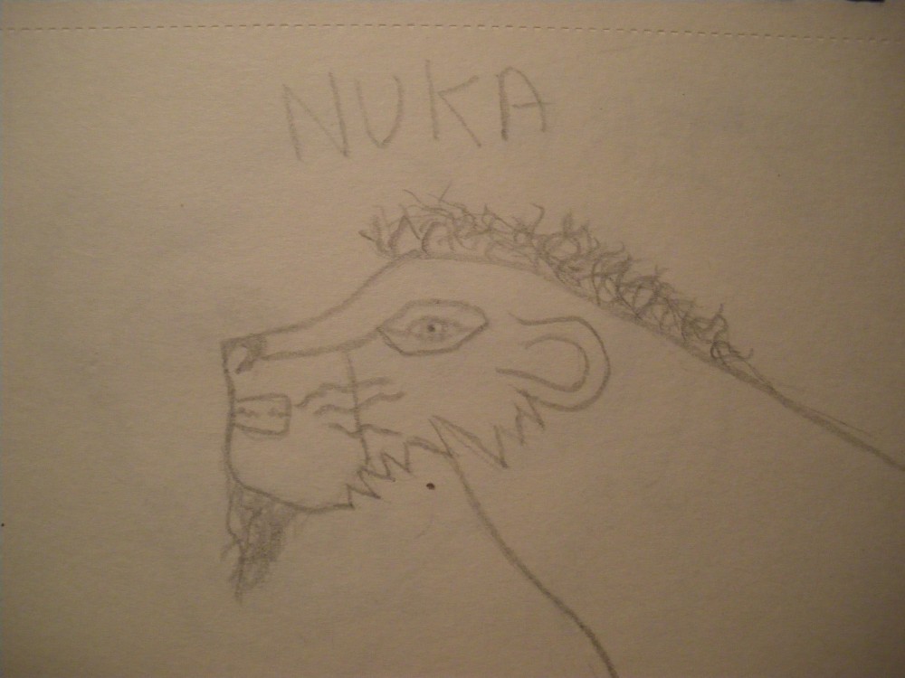 Nuka profil