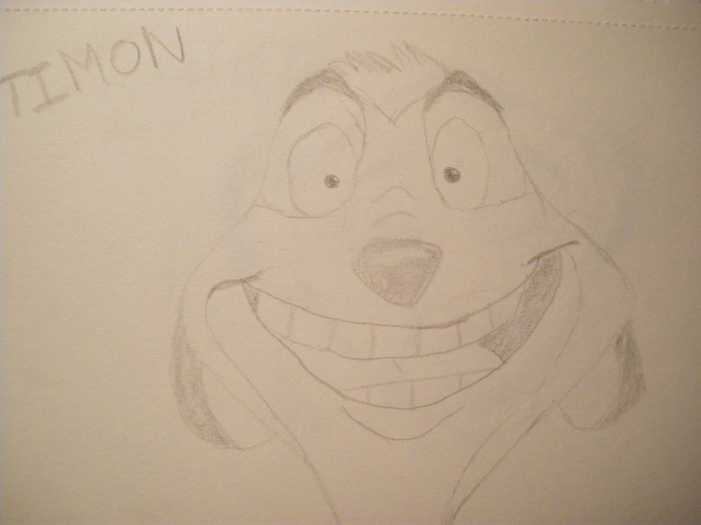 Tête de timon