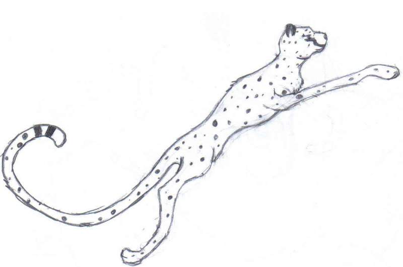 cheeath doodle 2