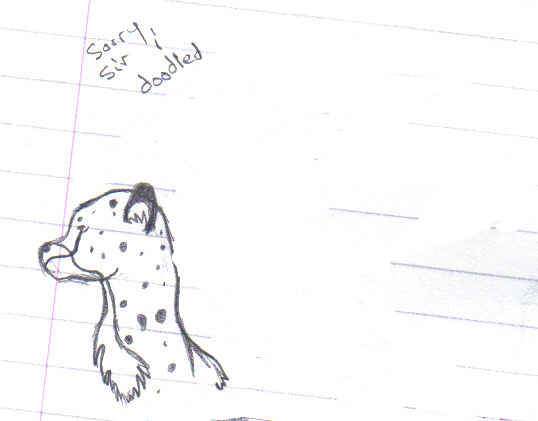 cheetah doodle 6