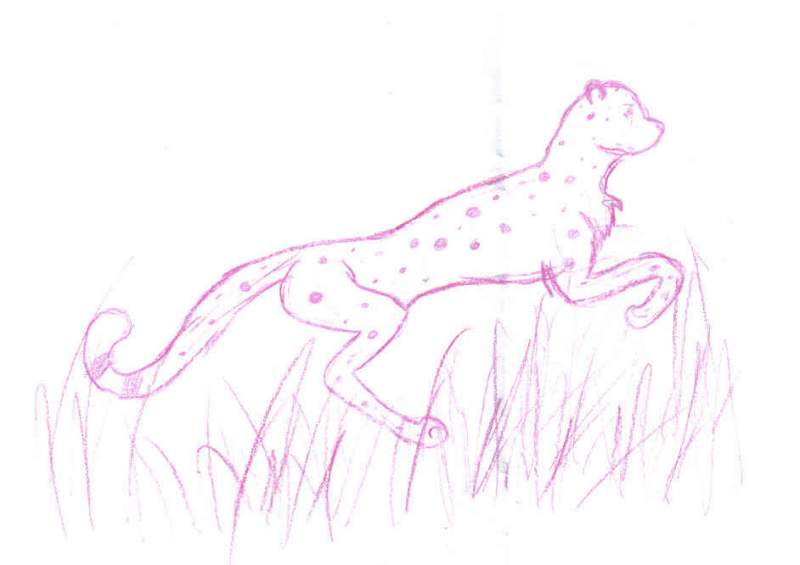 cheetah doodle 7