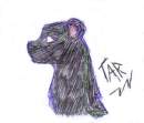 Tar