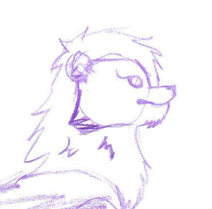 purple lion scetch