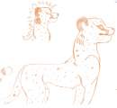 orange cheeth scetch
