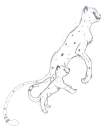 old cheetah scetch