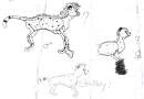 old cheetah scetch